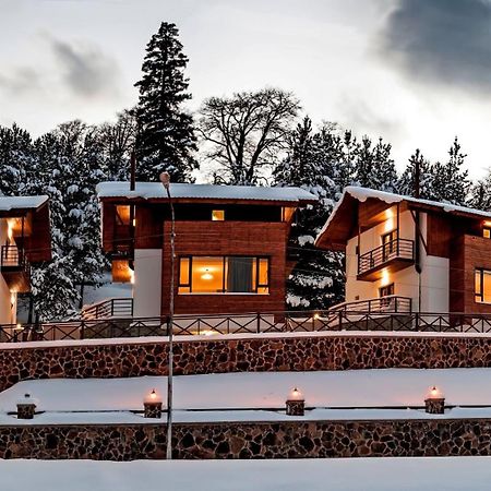 Crystal Hill Resort Bakuriani Εξωτερικό φωτογραφία